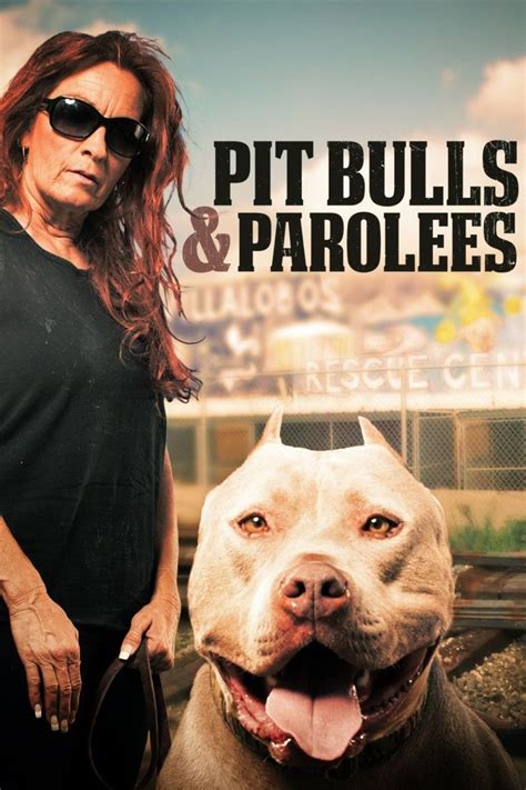 is prada from pitbulls and parolees still alive|prada the pit bull death.